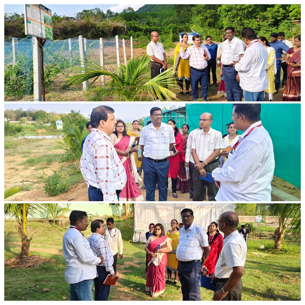 Krishi Vigyan Kendra Nayagarh